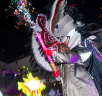 nwrh.0106.mardi.gras.12th.night-2