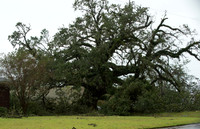 nwrh.0828.hurricane.laura-12