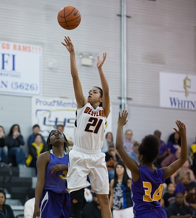spkm.22216.Westlake.v.Wossman-3