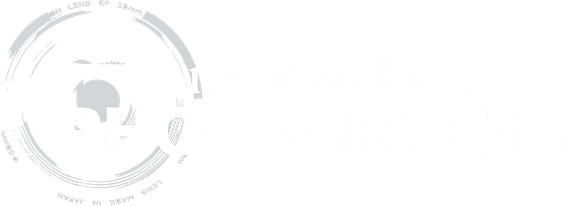 American Press Photography.logo.8