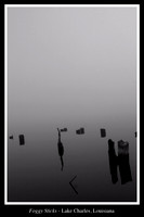 sticks